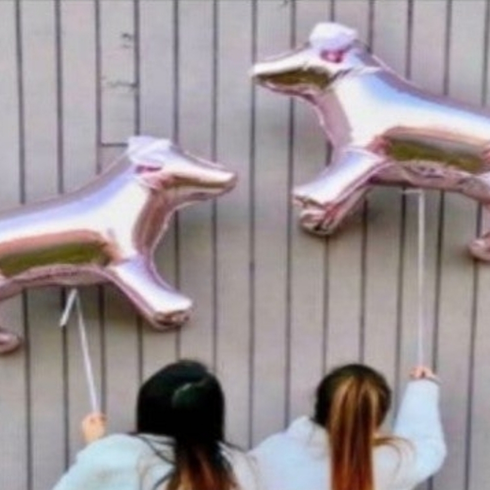 Rare Victoria's Secret Dog Balloon